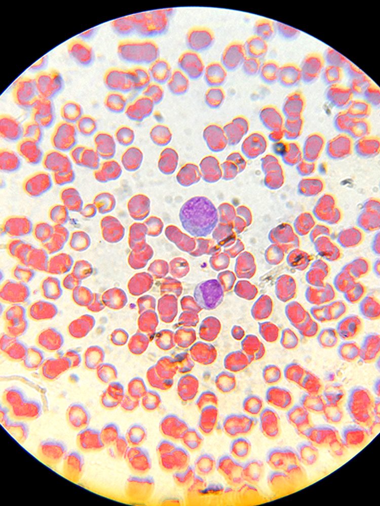 Lab Research in use