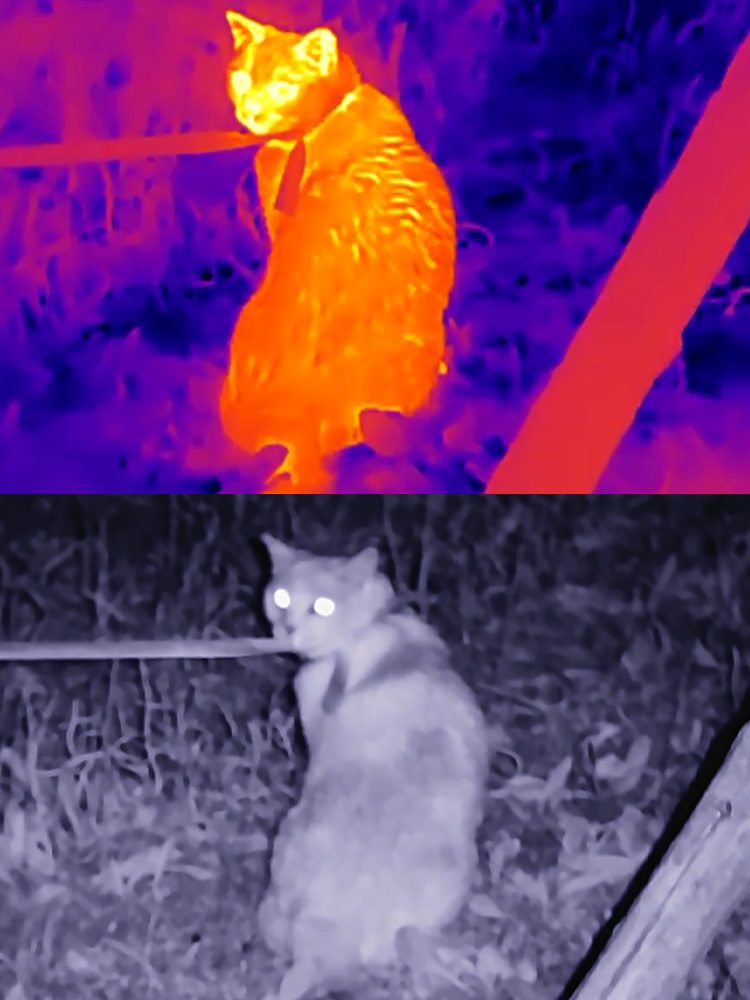 Night Outdoor in use