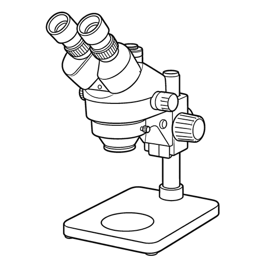Stereo Microscope